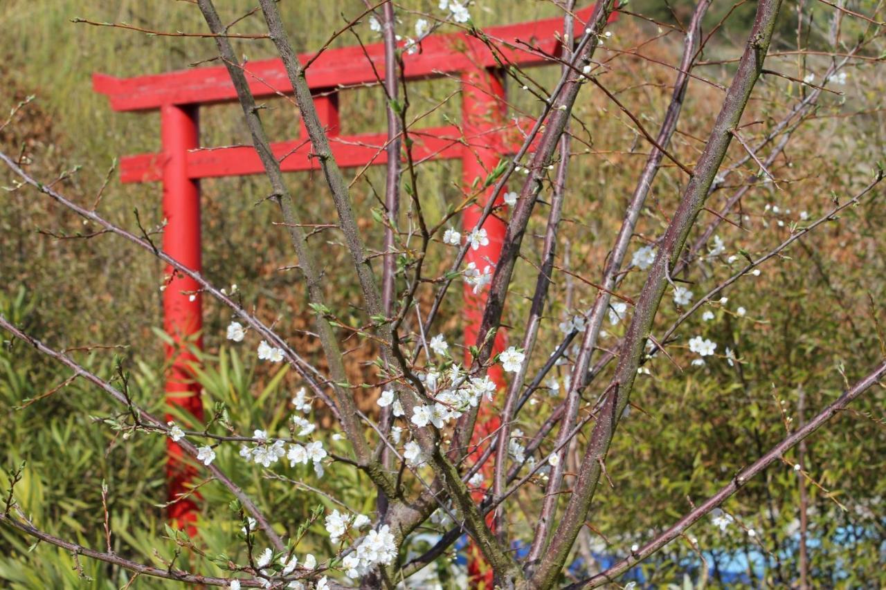 Quinta Japonesa Bed & Breakfast Carvalhal Bemfeito